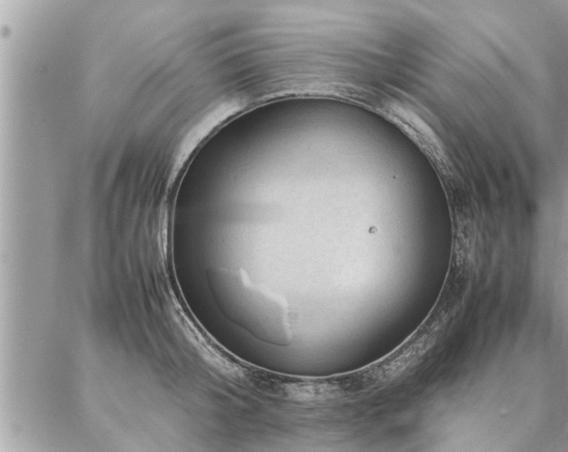 X0000087390804200704201241