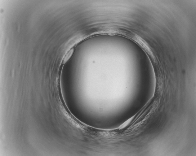 X0000087390805200704201241