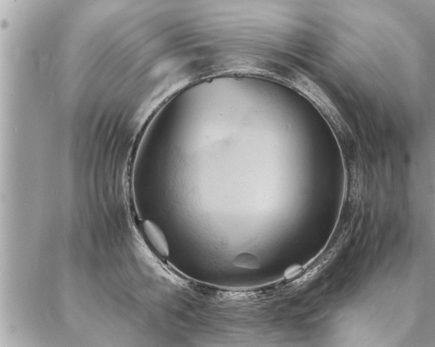 X0000087390806200704201241