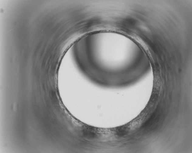 X0000087390807200704201241