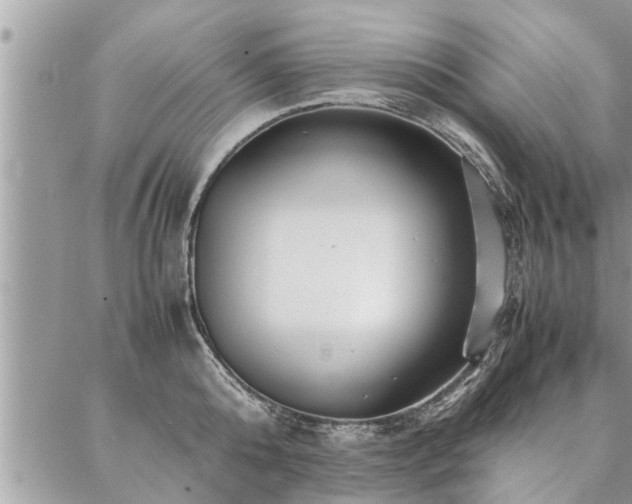 X0000087390808200704201241