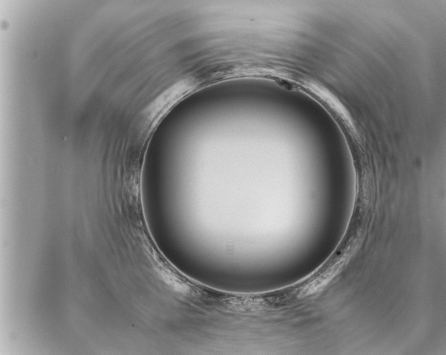 X0000087390809200704201241