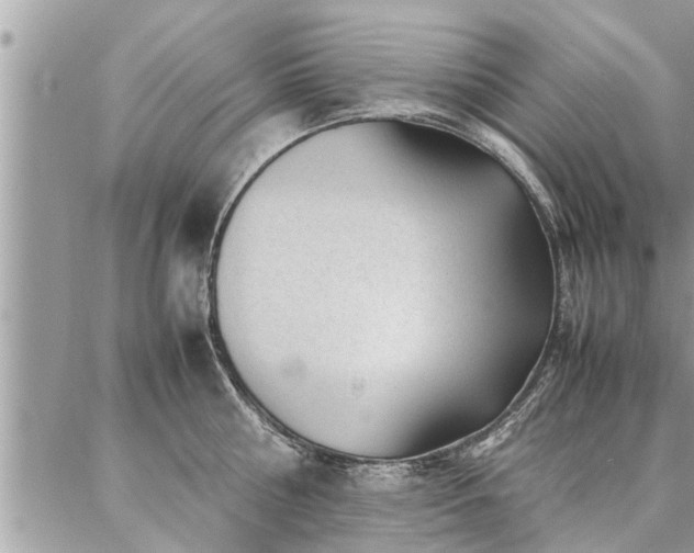 X0000087390810200704201241