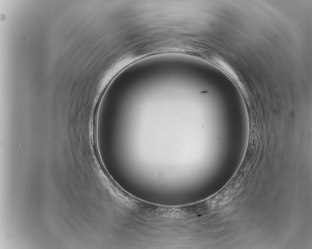 X0000087390811200704201241