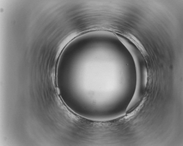 X0000087390812200704201241