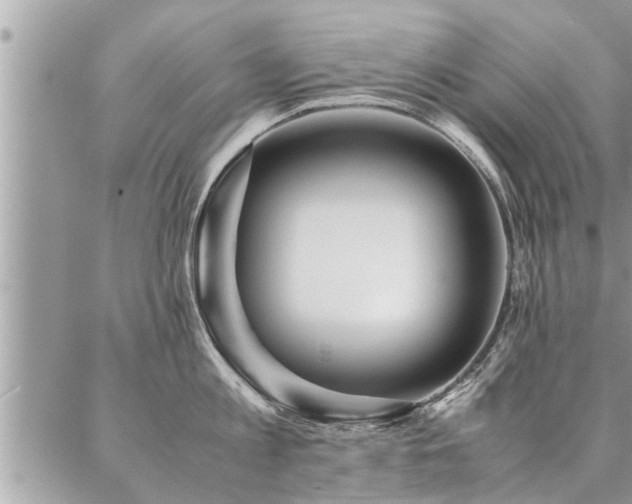 X0000087390813200704201241