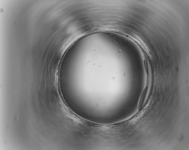 X0000087390814200704201241