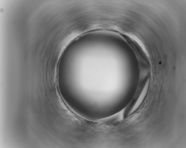 X0000087390815200704201241