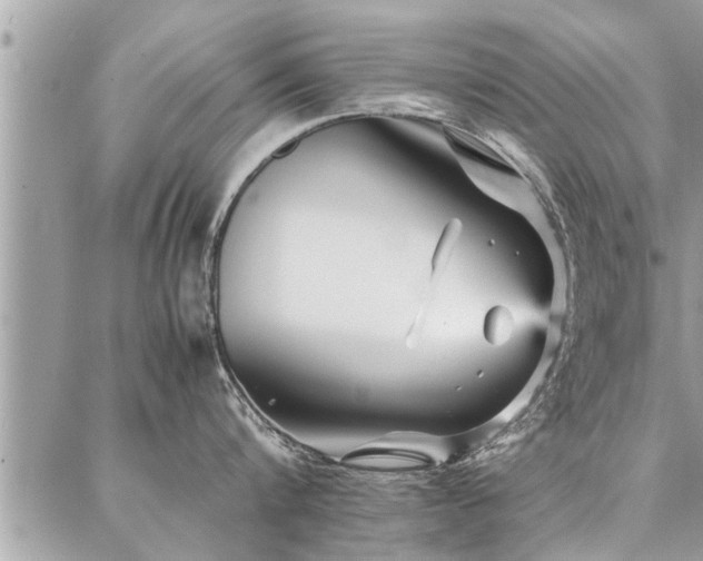 X0000087390816200704201241