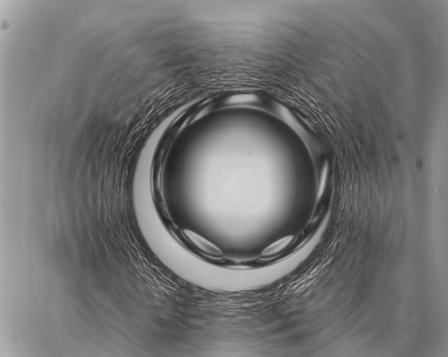 X0000087390818200704201240