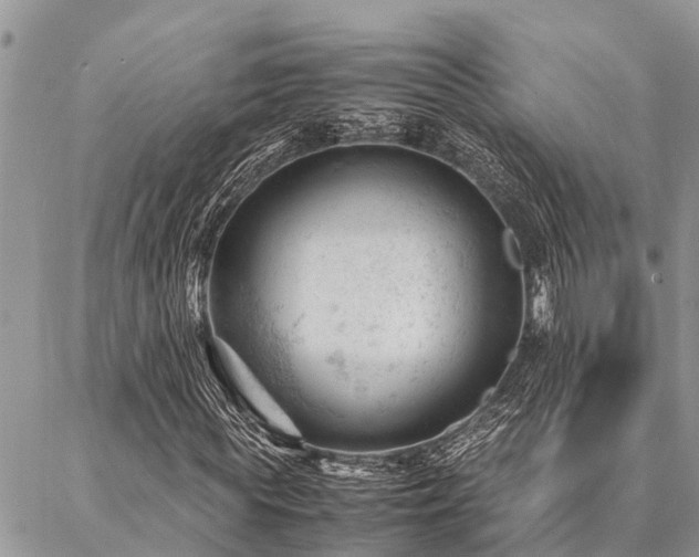 X0000087390819200704201240