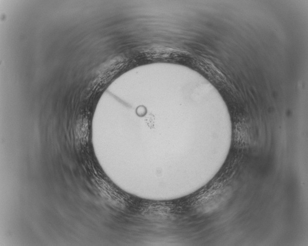 X0000087390820200704201240