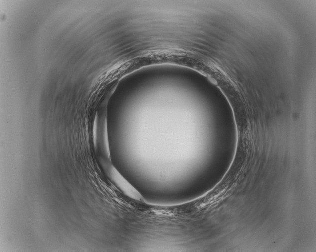 X0000087390822200704201240