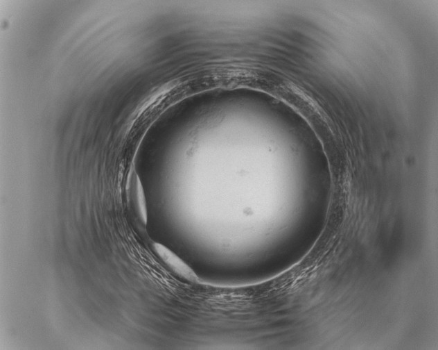 X0000087390823200704201240