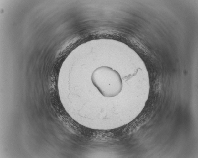 X0000087390824200704201240