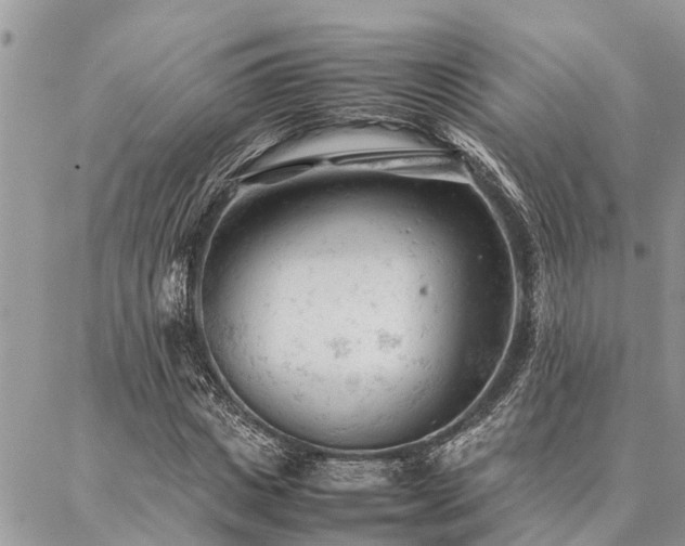 X0000087390825200704201240