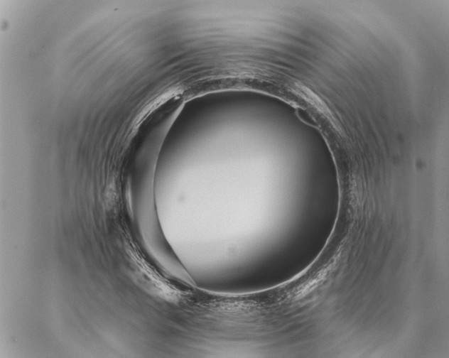 X0000087390826200704201240