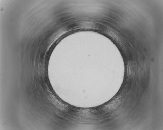 X0000087390828200704201240