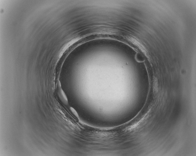 X0000087390829200704201240