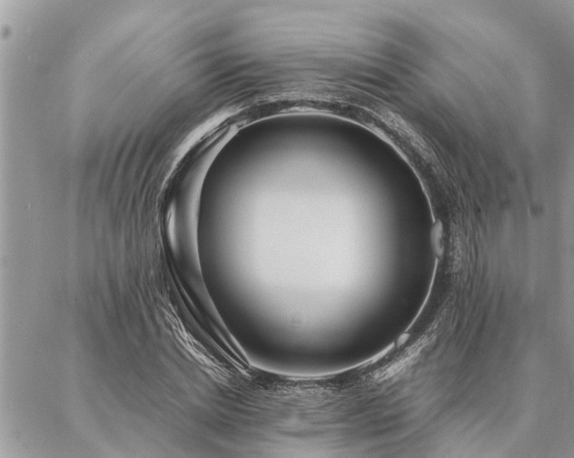 X0000087390830200704201240