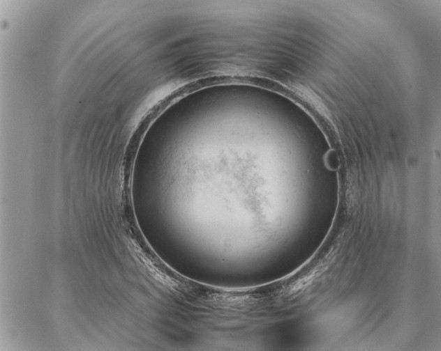 X0000087390831200704201240