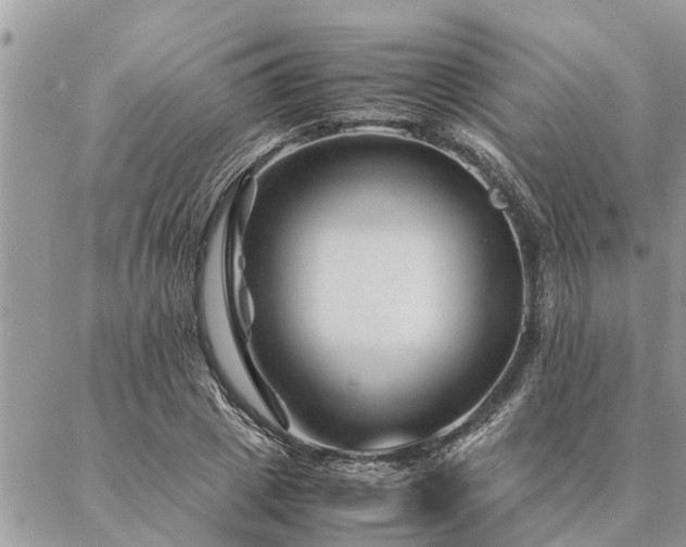 X0000087390833200704201240