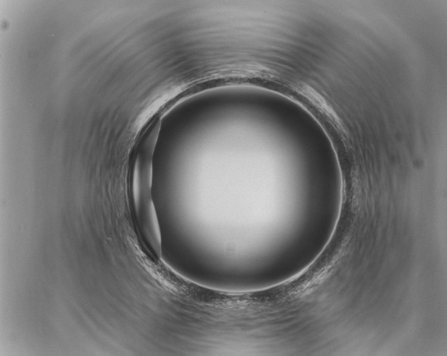 X0000087390834200704201240