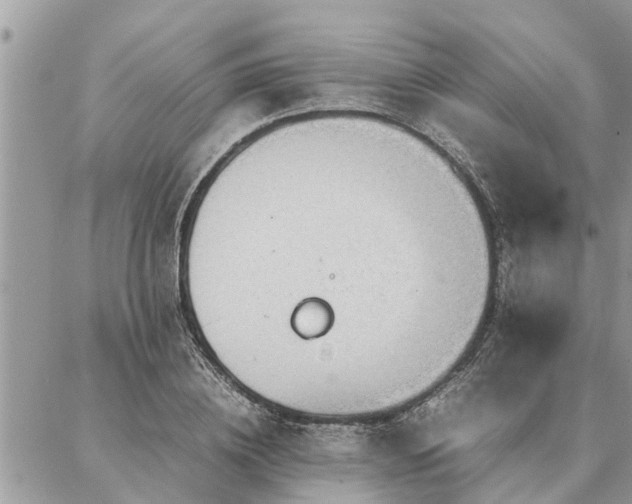 X0000087390836200704201240