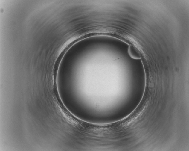 X0000087390837200704201240