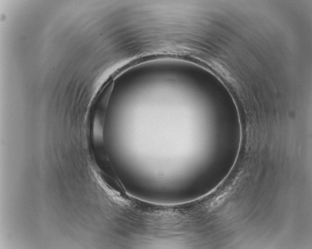 X0000087390838200704201240