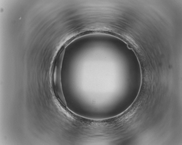 X0000087390840200704201240