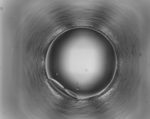 X0000087390841200704201240