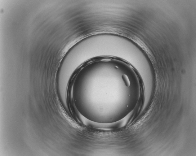 X0000087390842200704201240