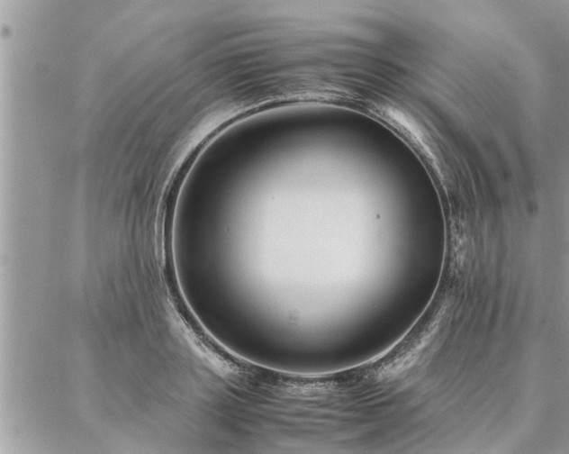 X0000087390843200704201240