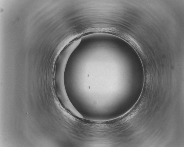 X0000087390844200704201240