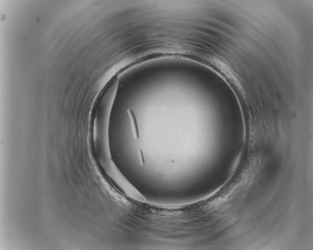 X0000087390845200704201240