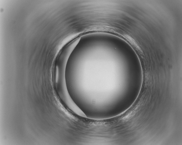 X0000087390846200704201240