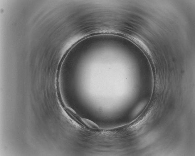 X0000087390847200704201240