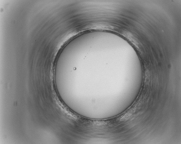 X0000087390848200704201240