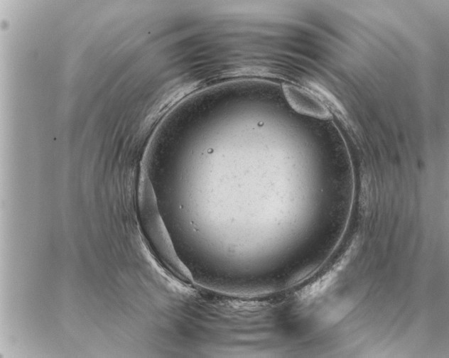 X0000087390849200704201240