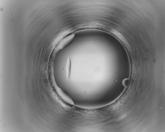 X0000087390850200704201240