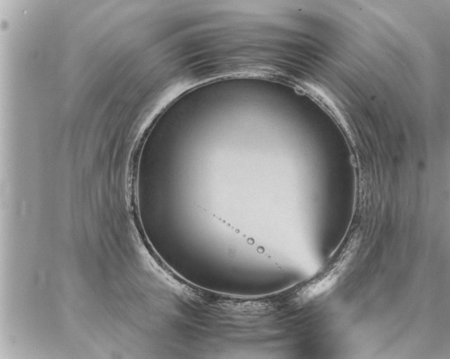 X0000087390851200704201240