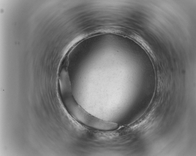 X0000087390853200704201240