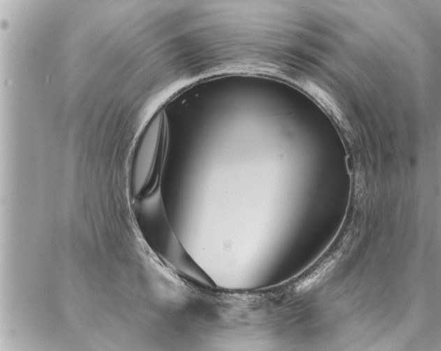 X0000087390854200704201240