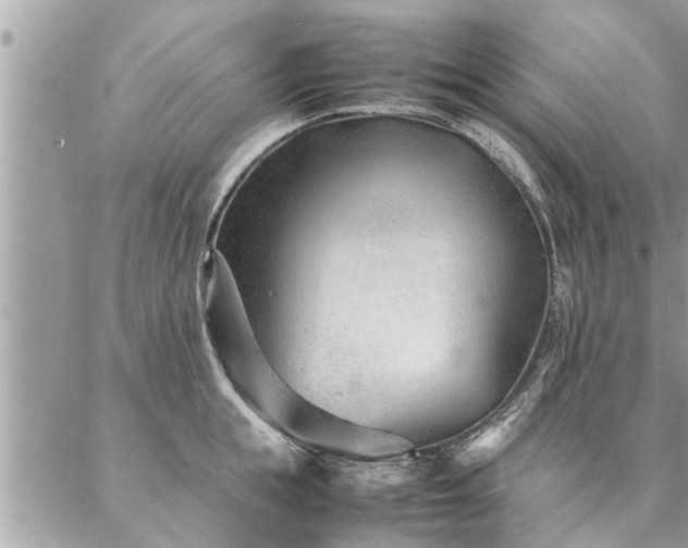 X0000087390855200704201240