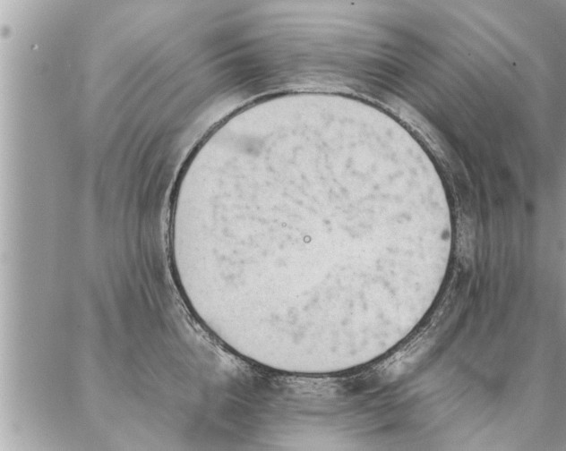 X0000087390856200704201240