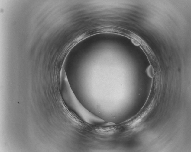 X0000087390857200704201240