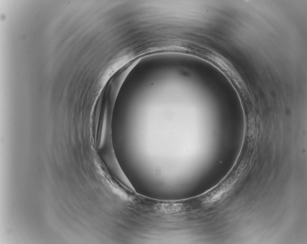 X0000087390858200704201240