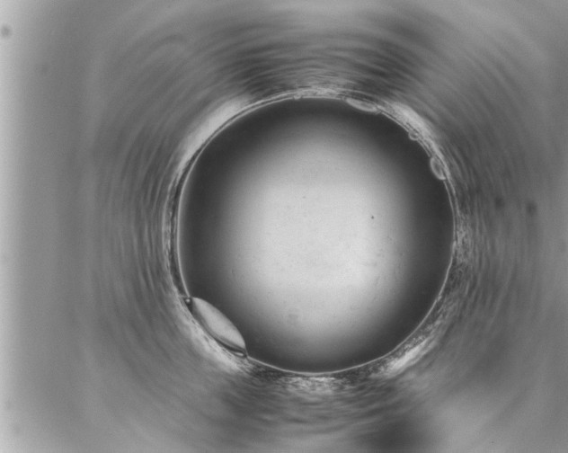 X0000087390859200704201240