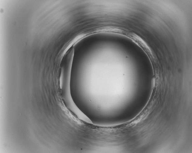 X0000087390860200704201240